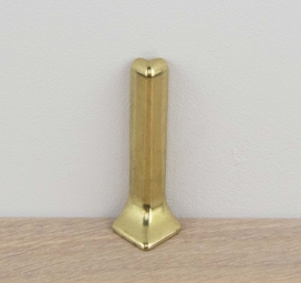 5504_BU - Buitenhoek geborsteld zijdeglans goud (bij 5504)  - Aluminium bewerkt - 10 x 60 mm (1)