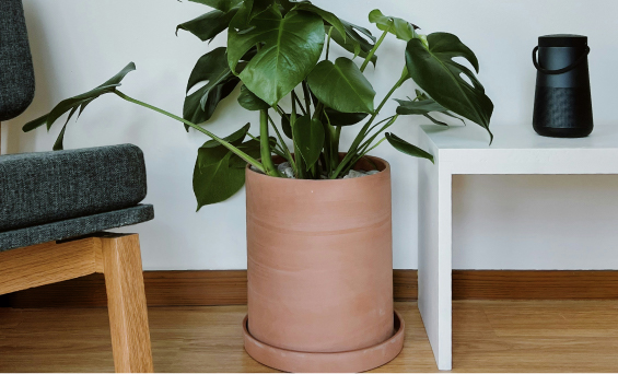 Plinten Retro & Vintage stijl